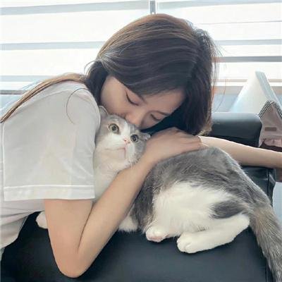 爱情公寓3