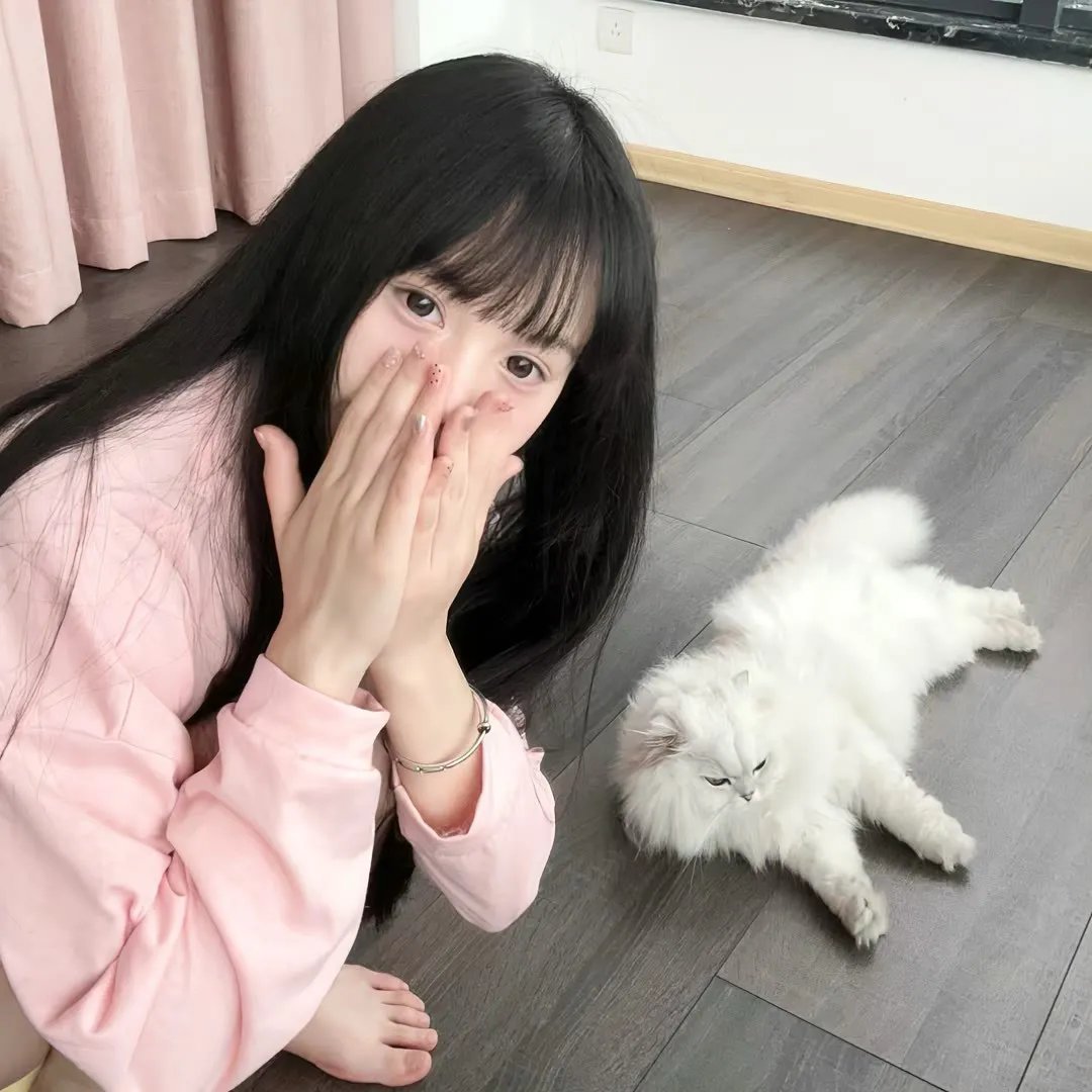 谜宫